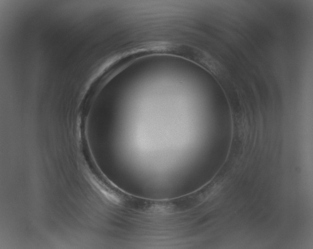 X0000053050350200507111132