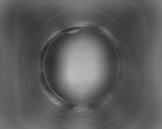 X0000053050354200507111132