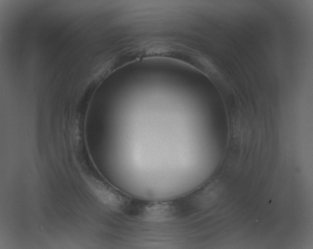 X0000053050362200507111132