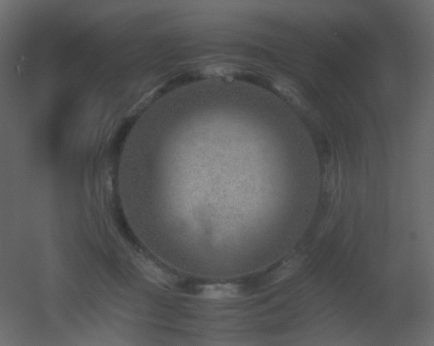 X0000053050363200507111132