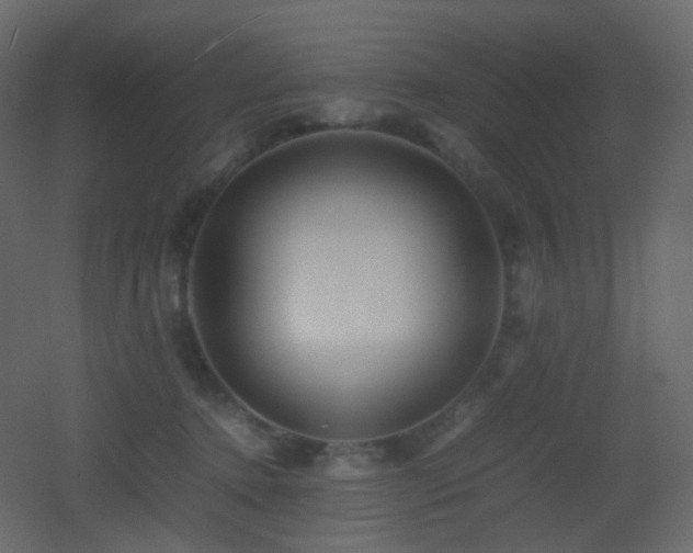 X0000053050368200507111132