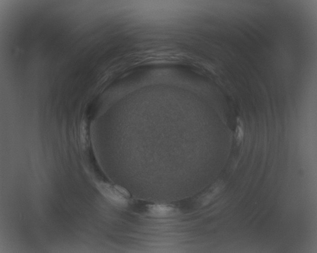 X0000053050380200507111132