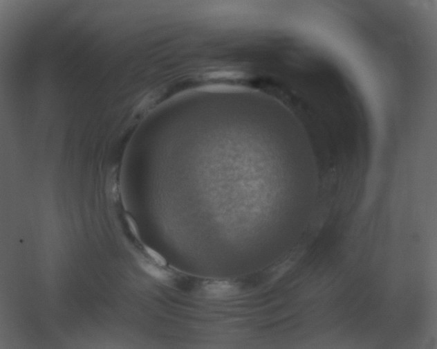 X0000053050383200507111132
