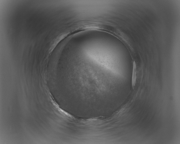 X0000053050385200507111132