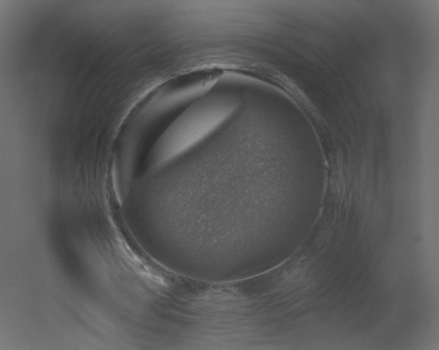 X0000053050386200507111131