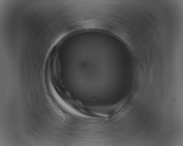 X0000053050391200507111131