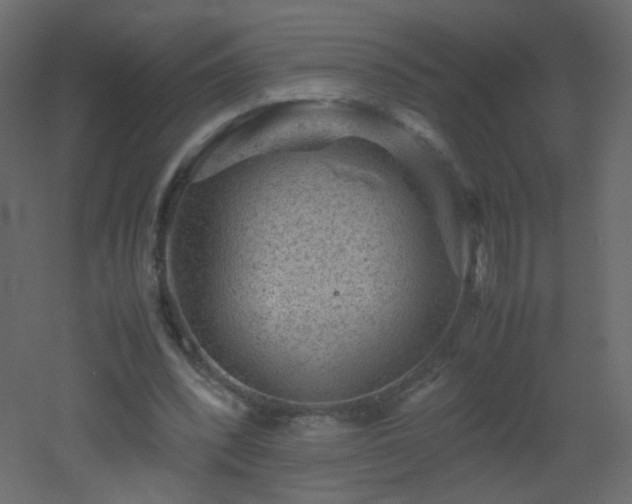 X0000053050392200507111131