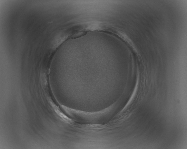 X0000053050393200507111131