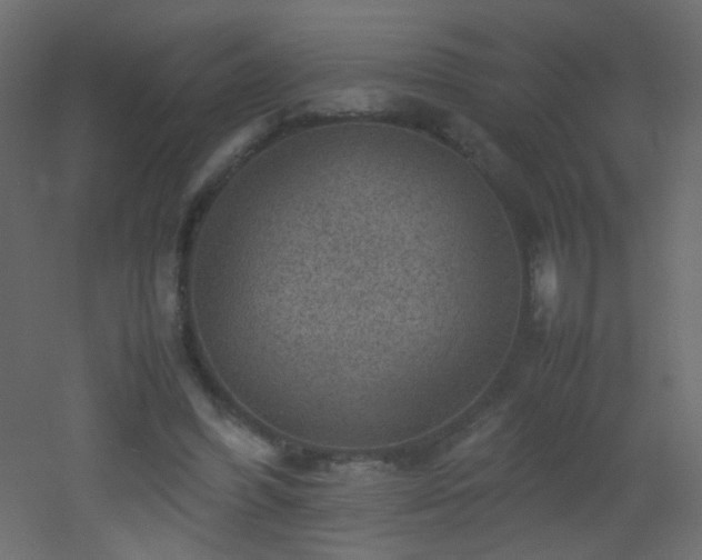 X0000053050396200507111131