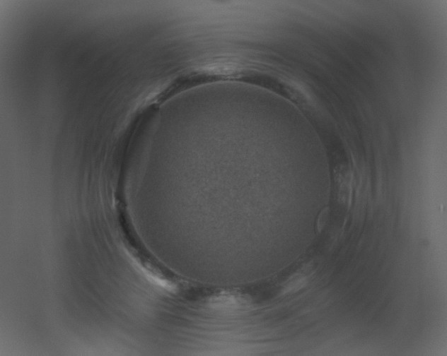 X0000053050404200507111131