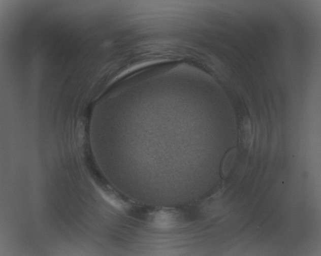 X0000053050412200507111131