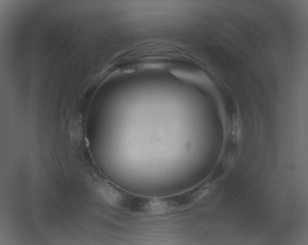 X0000053050413200507111131