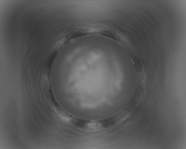X0000053050415200507111131