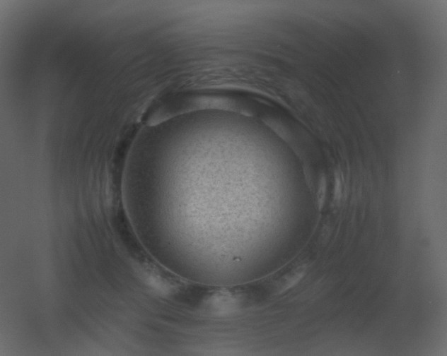X0000053050416200507111131