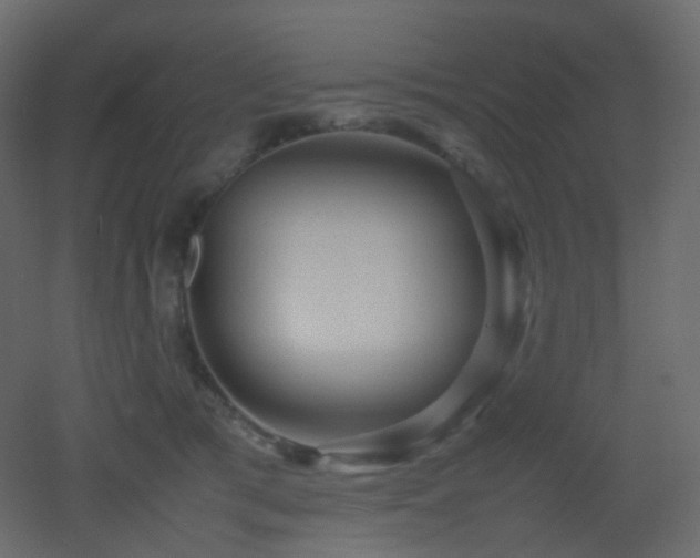 X0000053050417200507111131