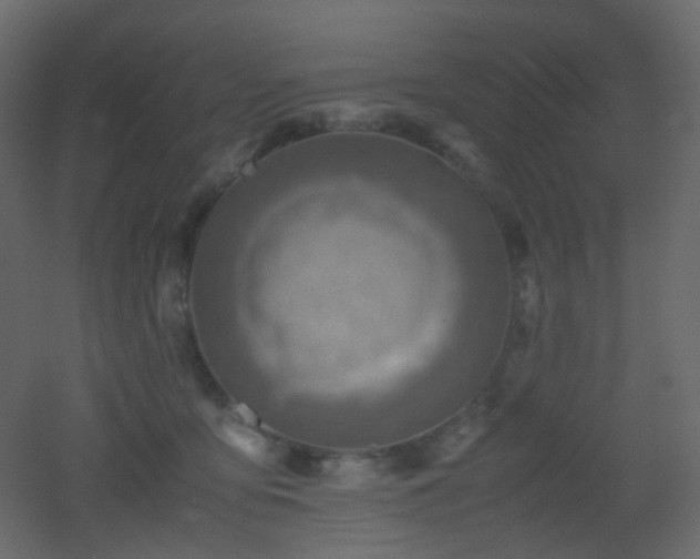 X0000053050419200507111131