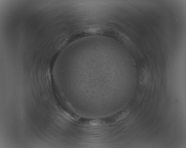 X0000053050420200507111131