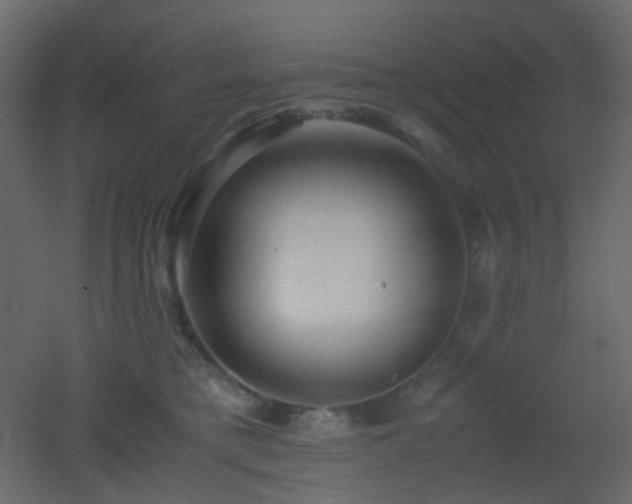 X0000053050421200507111131
