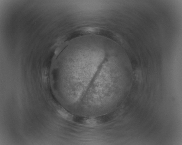 X0000053050423200507111131