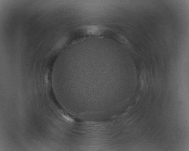 X0000053050424200507111131