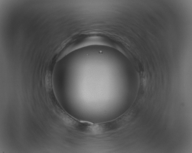 X0000053050425200507111131