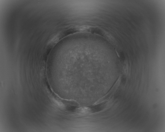 X0000053050427200507111131