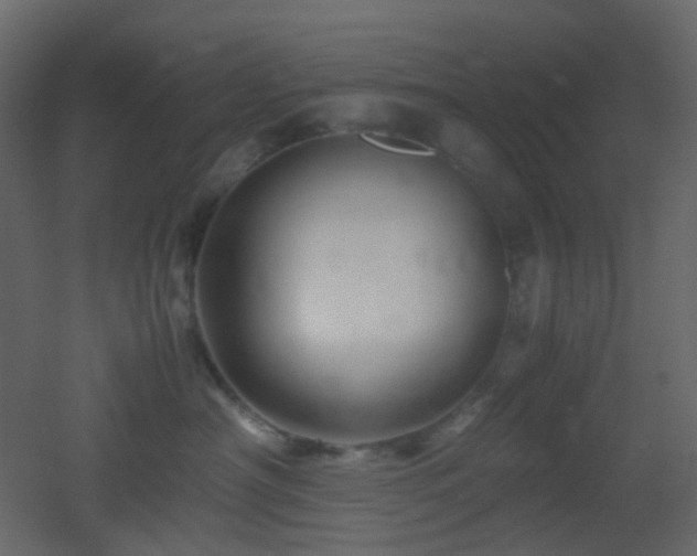X0000053050430200507111131