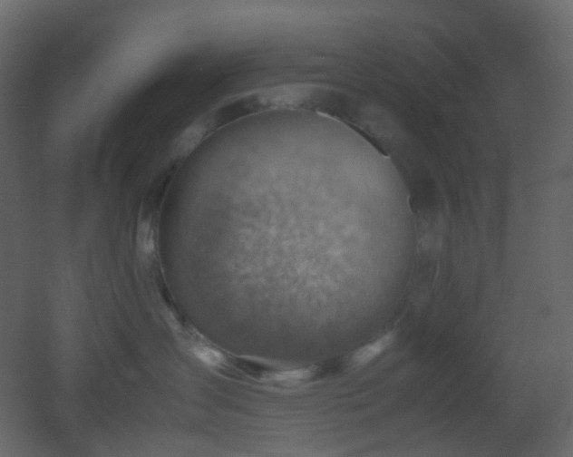 X0000053050431200507111131