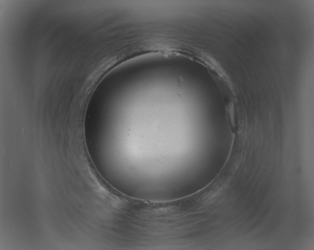 X0000053050433200507111130