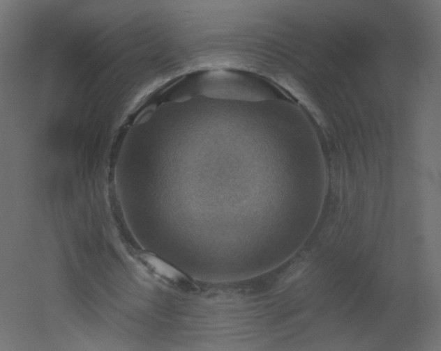X0000053050434200507111130