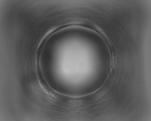 X0000053050435200507111130