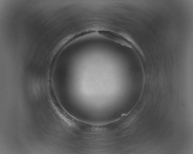 X0000053050437200507111130