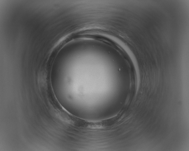 X0000053050440200507111130