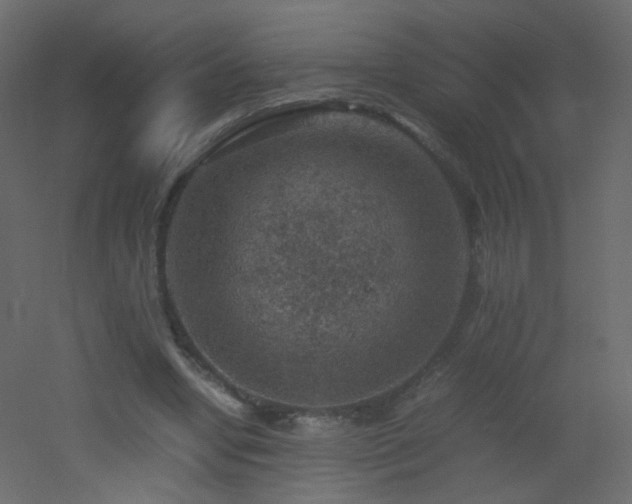 X0000053050442200507111130
