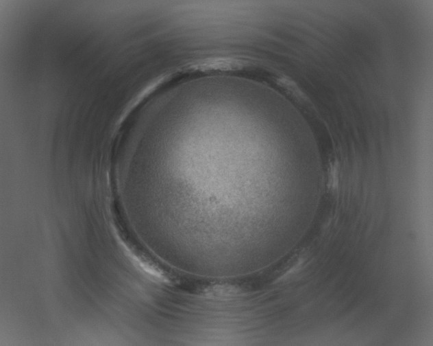 X0000053050444200507111130
