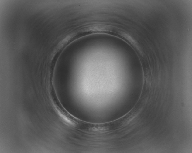 X0000053050445200507111130