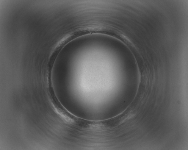 X0000053050446200507111130