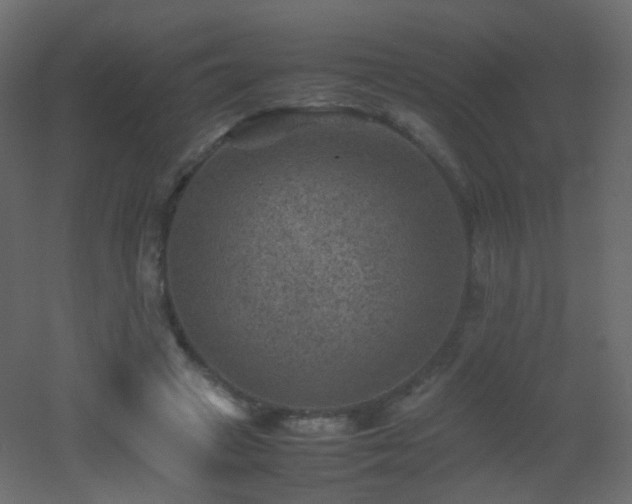X0000053050449200507111130