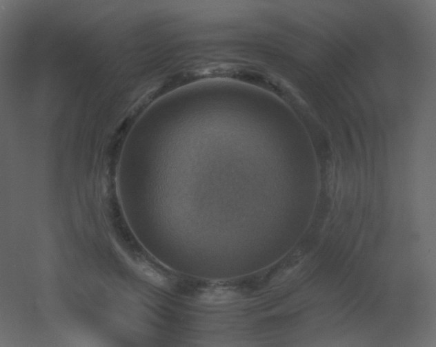 X0000053050451200507111130