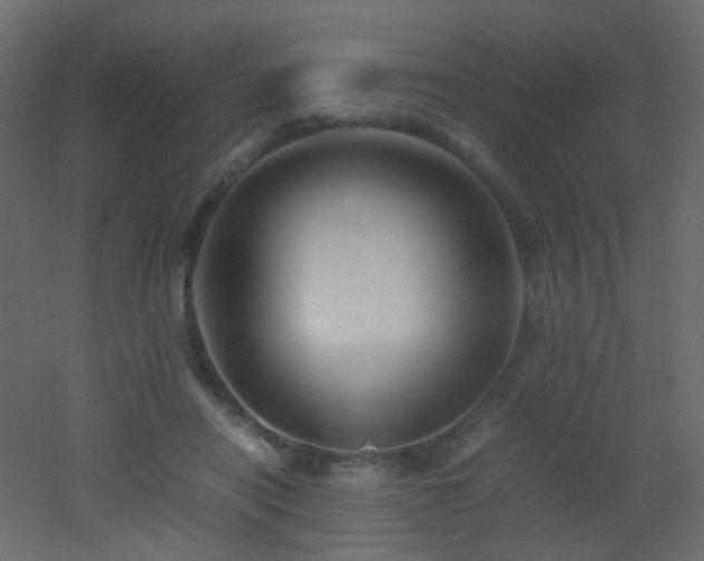 X0000053050454200507111130