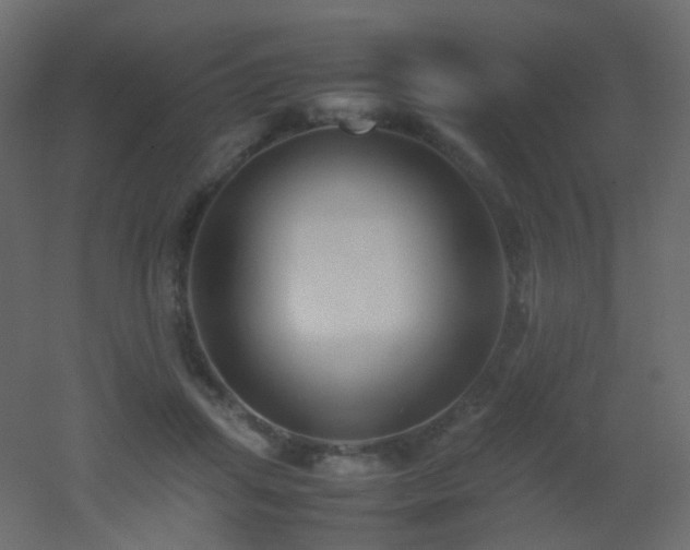 X0000053050455200507111130