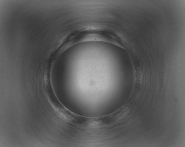 X0000053050456200507111130