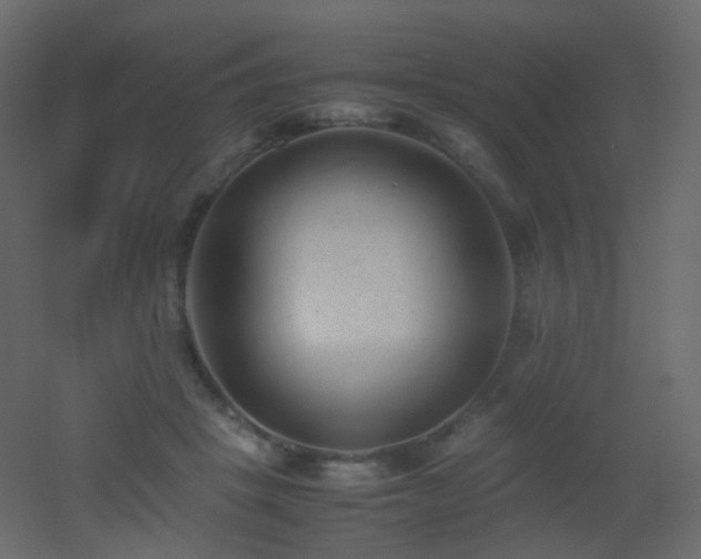 X0000053050457200507111130