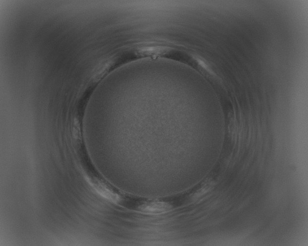 X0000053050459200507111130