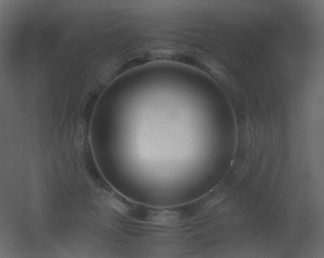 X0000053050463200507111130