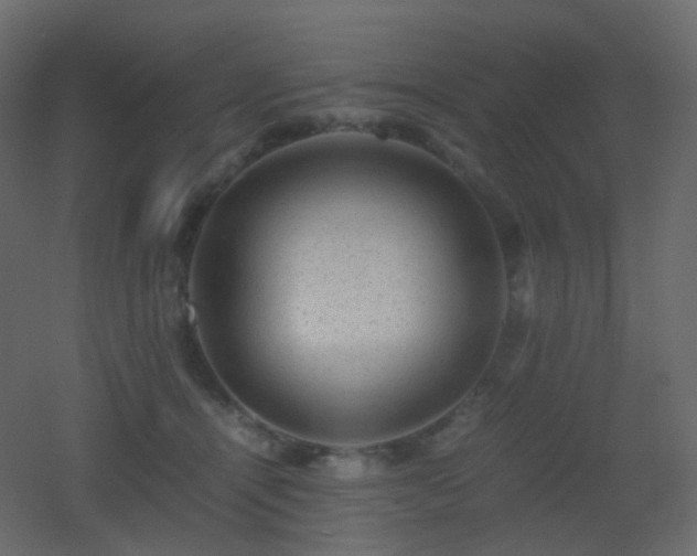 X0000053050464200507111130