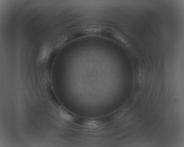 X0000053050467200507111130