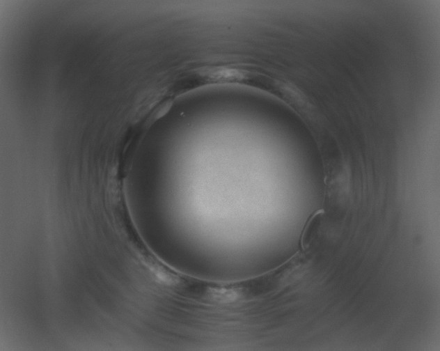 X0000053050469200507111131