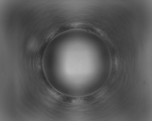X0000053050470200507111131