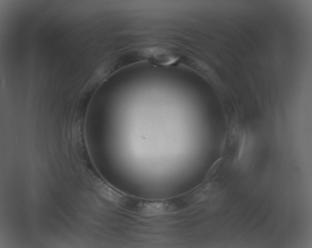 X0000053050473200507111131